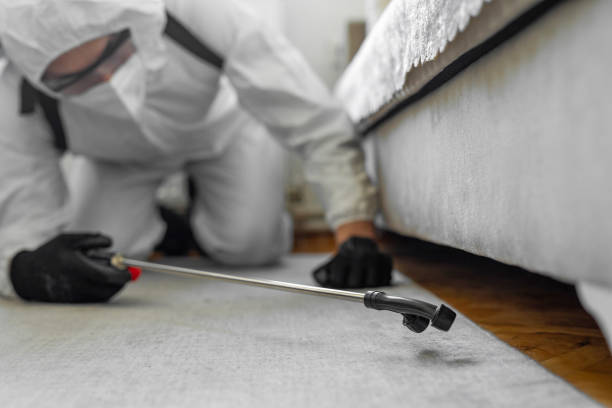 Professional Termite Control technician working in Oak Hills, CA