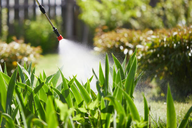24/7 Emergency Termite Control experts in Oak Hills, CA