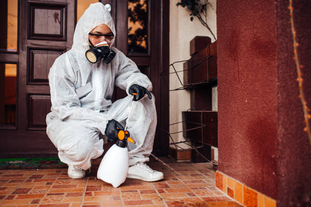 Reliable Termite Control contractor in Oak Hills, CA by Nex Pest Control