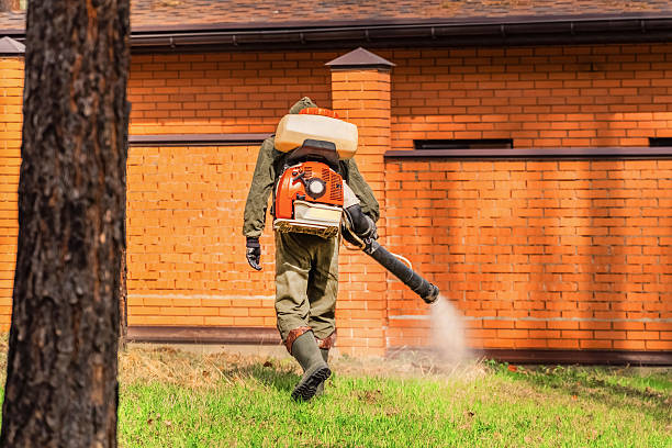 Trusted Cockroach Control service in Oak Hills, CA - Nex Pest Control